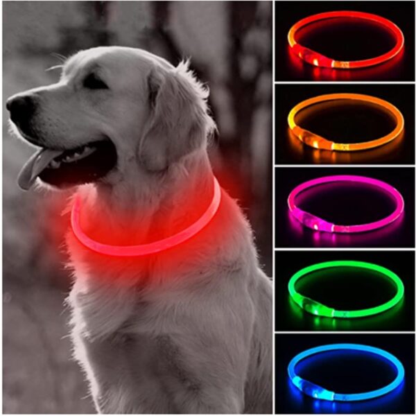 Coleira Cachorro/Gato com LED